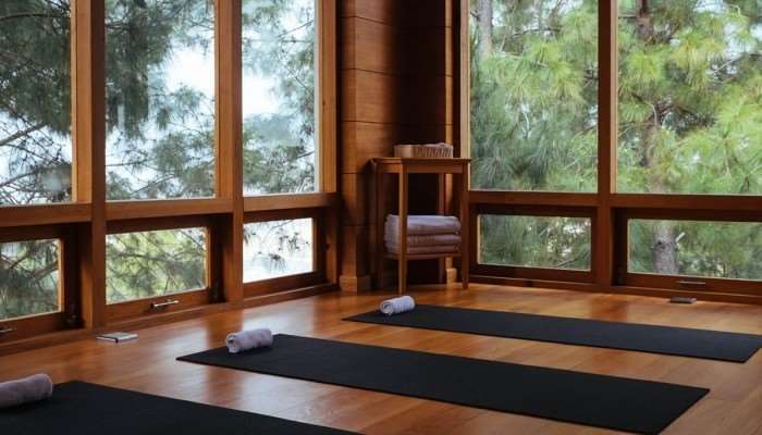 Dhensa Resort Punakha Konforlar fotoğraf
